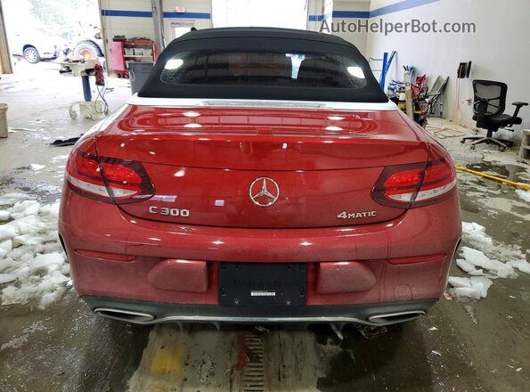 WDDWK8EB6KF913753 2019 MERCEDES-BENZ C Красный Вид сзади