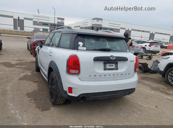 WMZYW5C01L3M24493 2020 MINI COUNTRYMAN White Tył lewy