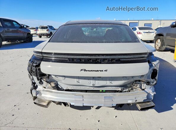 WP0AA2YA3SL010887 2025 PORSCHE PANAMERA Gray Вид ззаду