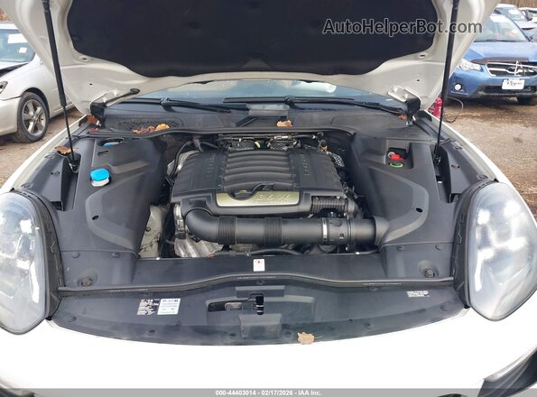 WP1AA2A23GLA09960 2016 PORSCHE CAYENNE Белый Вид сзади