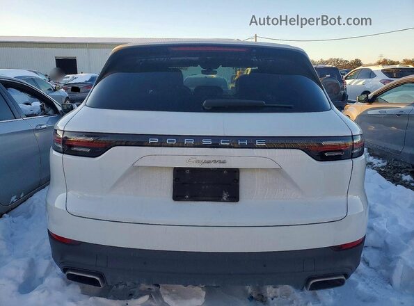 WP1AA2AY3PDA02487 2023 PORSCHE CAYENNE White Widok z tyłu