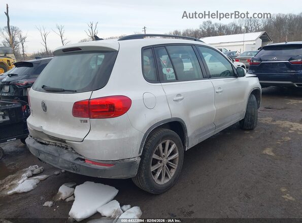 WVGAV7AX6HK042419 2017 VOLKSWAGEN TIGUAN Белый Задняя правая четверть