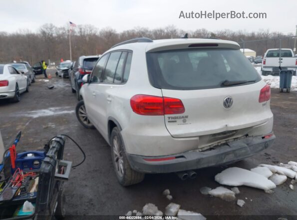 WVGAV7AX6HK042419 2017 VOLKSWAGEN TIGUAN Белый Задняя левая четверть