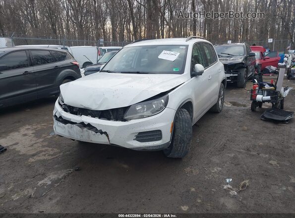 WVGAV7AX6HK042419 2017 VOLKSWAGEN TIGUAN Белый Передняя левая четверть