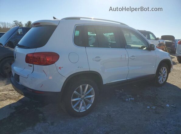 WVGRV7AX3HK019232 2017 VOLKSWAGEN TIGUAN Белый Задняя правая четверть