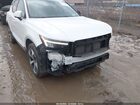 2024 Volvo Xc40 B5 Core Bright Theme Белый vin: YV4L12UK3R2222855