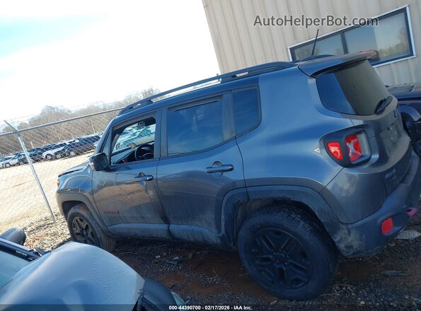 ZACCJBCB3HPE54221 2017 JEEP RENEGADE Серый Панорамный вид салона 360°
