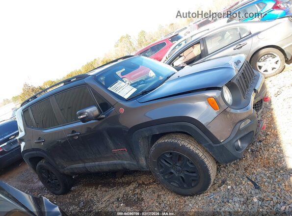 ZACCJBCB3HPE54221 2017 JEEP RENEGADE Серый Вид задней части салона
