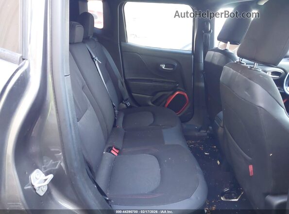ZACCJBCB3HPE54221 2017 JEEP RENEGADE Серый Вид наклейки с VIN-кодом