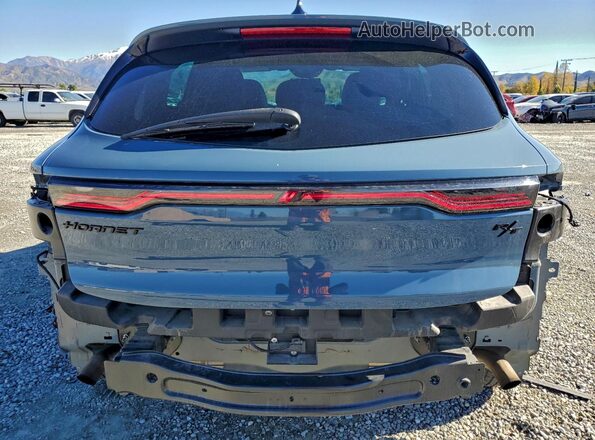 ZACPDFDW2R3A25842 2024 DODGE OTHER Blue უკანა ხედი