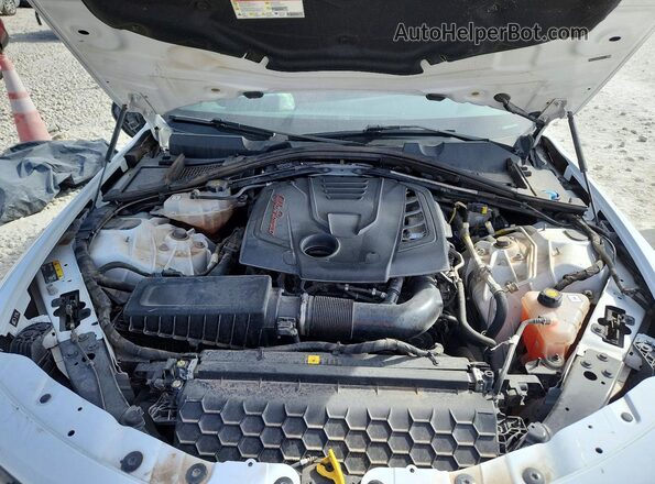 ZARFAMBN8P7671351 2023 ALFA ROMEO GIULIA Белый Вид задней части салона