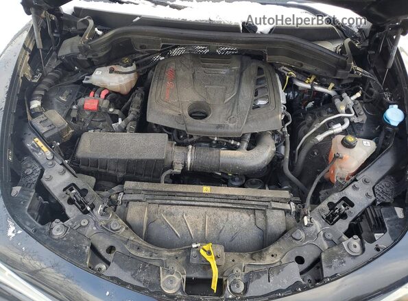 ZASPAJAN7N7D38772 2022 ALFA ROMEO STELVIO Черный Вид задней части салона