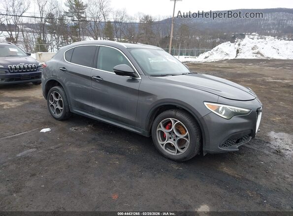 ZASPAKAN3K7C32370 2019 ALFA ROMEO STELVIO Gray Przód prawy