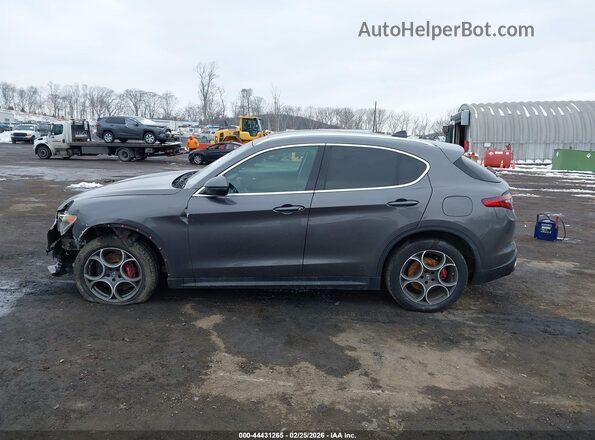 ZASPAKAN3K7C32370 2019 ALFA ROMEO STELVIO Gray Widok wnętrza 360 stopni