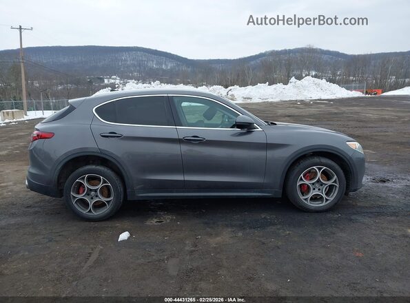 ZASPAKAN3K7C32370 2019 ALFA ROMEO STELVIO Gray Widok wnętrza z tyłu
