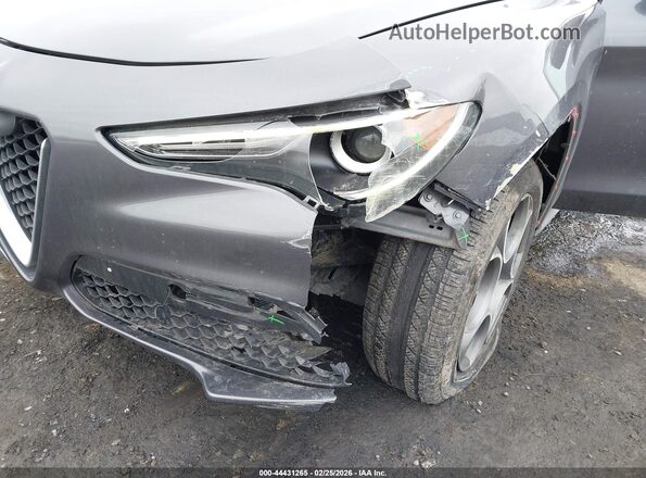 ZASPAKAN3K7C32370 2019 ALFA ROMEO STELVIO Gray Widok z przodu