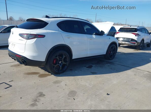 ZASPAKBN0R7D75558 2024 ALFA ROMEO STELVIO Белый Задняя правая четверть