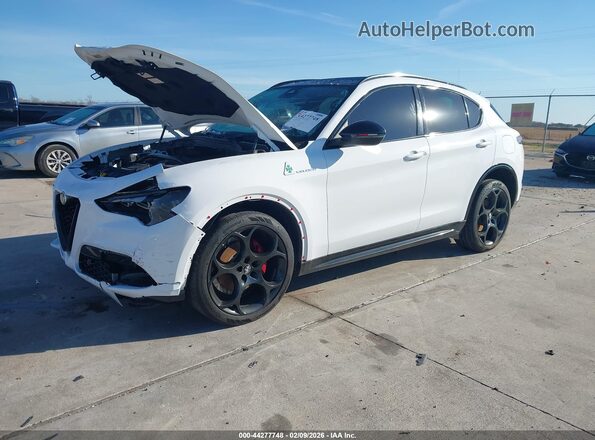 ZASPAKBN0R7D75558 2024 ALFA ROMEO STELVIO Белый Передняя левая четверть
