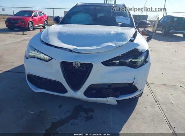 ZASPAKBN0R7D75558 2024 ALFA ROMEO STELVIO Белый Вид спереди