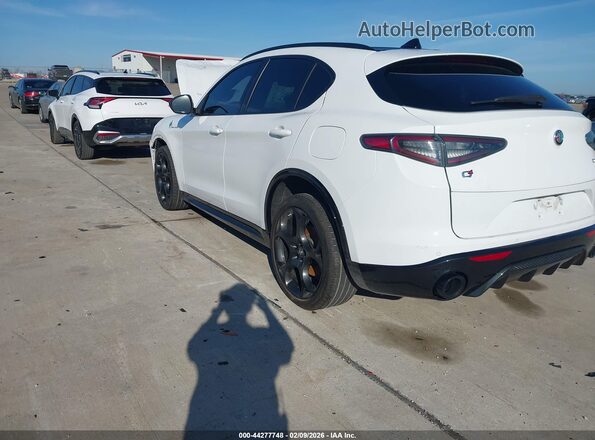 ZASPAKBN0R7D75558 2024 ALFA ROMEO STELVIO Белый Задняя левая четверть