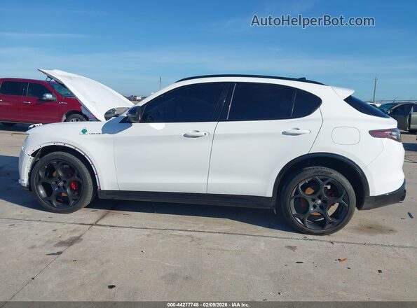 ZASPAKBN0R7D75558 2024 ALFA ROMEO STELVIO Белый Панорамный вид салона 360°