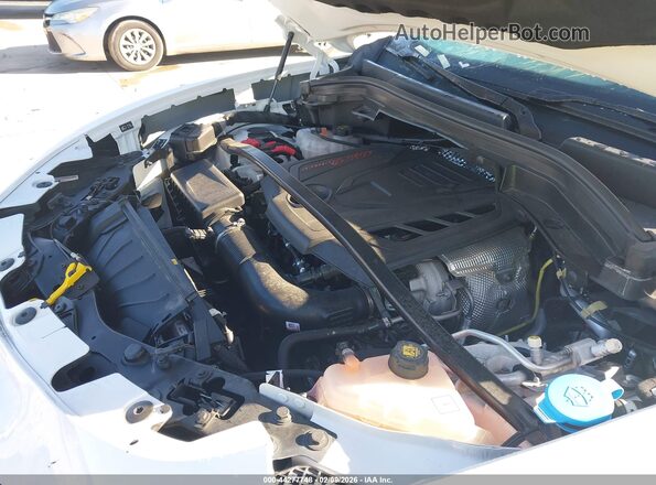ZASPAKBN0R7D75558 2024 ALFA ROMEO STELVIO Белый Вид сзади