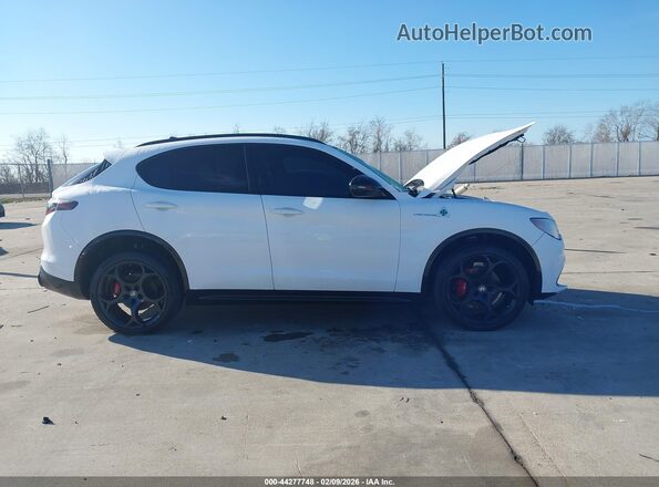 ZASPAKBN0R7D75558 2024 ALFA ROMEO STELVIO Белый Вид задней части салона