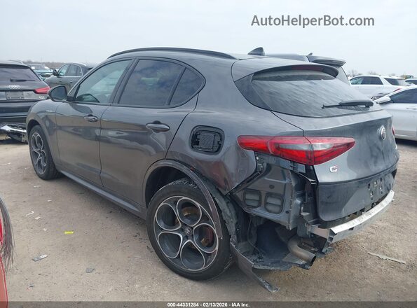 ZASPAKBN1P7D54084 2023 ALFA ROMEO STELVIO Gray Հետևի ձախ