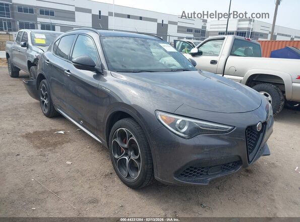 ZASPAKBN1P7D54084 2023 ALFA ROMEO STELVIO Gray Առջևի աջ