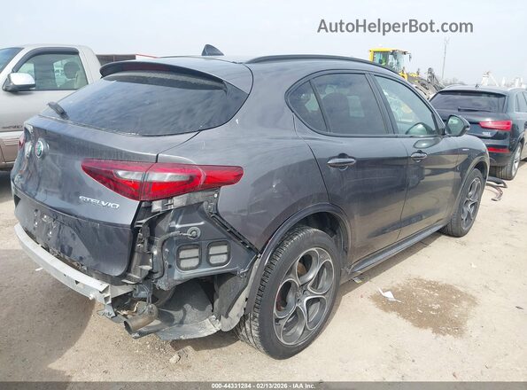 ZASPAKBN1P7D54084 2023 ALFA ROMEO STELVIO Gray Հետևի աջ