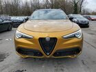 2023 Alfa Romeo Stelvio Ti Gold vin: ZASPAKBN2P7D63067