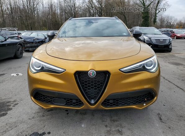 ZASPAKBN2P7D63067 2023 ALFA ROMEO STELVIO Gold წინა ხედი