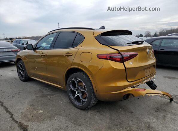 ZASPAKBN2P7D63067 2023 ALFA ROMEO STELVIO Gold უკანა მარცხენა