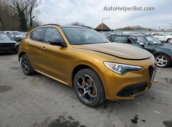 ZASPAKBN2P7D63067 2023 ALFA ROMEO STELVIO Gold წინა მარჯვენა