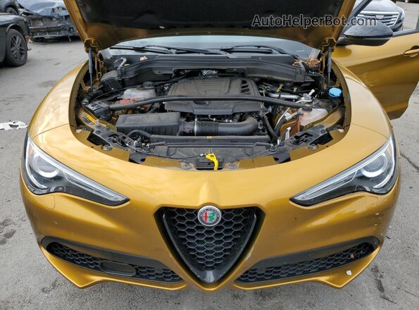 ZASPAKBN2P7D63067 2023 ALFA ROMEO STELVIO Gold უკანა სალონის ხედი