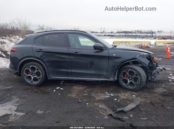 ZASPAKBN3P7D58394 2023 ALFA ROMEO STELVIO Gray Widok wnętrza z tyłu