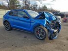 2024 Alfa Romeo Stelvio Ti Синий vin: ZASPAKBN3R7D75358