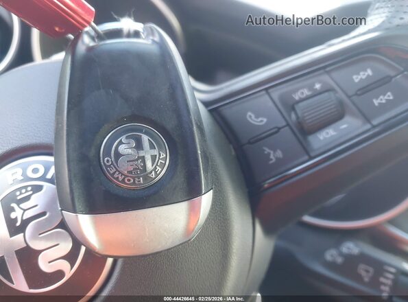 ZASPAKBN7N7D30935 2022 ALFA ROMEO STELVIO Синий Вид панели приборов