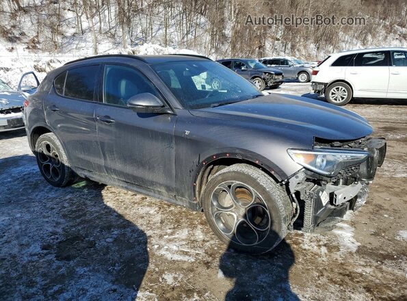 ZASPAKBN7P7D58267 2023 ALFA ROMEO STELVIO Gray Front right