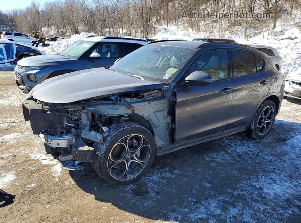 ZASPAKBN7P7D58267 2023 ALFA ROMEO STELVIO Gray Front left