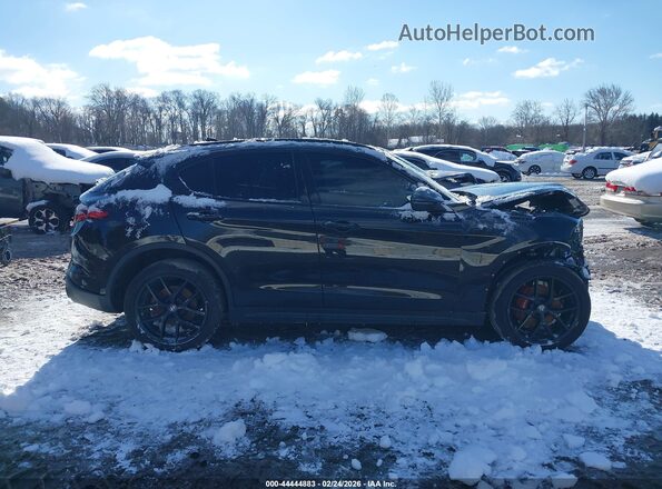 ZASPAKBN8K7C59949 2019 ALFA ROMEO STELVIO Black Սալոնի 360 աստիճան տեսք