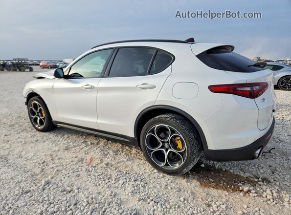 ZASPAKBN9K7C50418 2019 ALFA ROMEO STELVIO White Trasero izquierdo