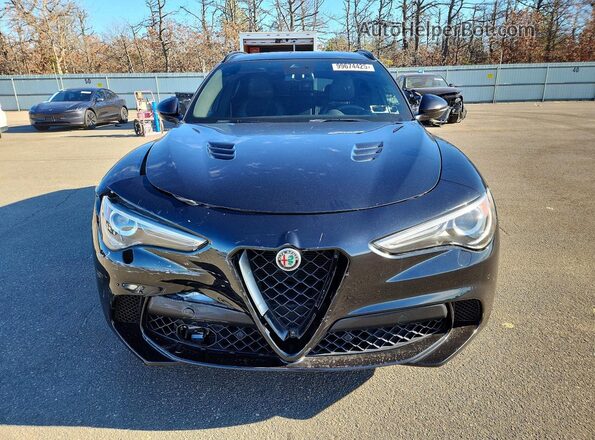 ZASPAKEV2K7C52877 2019 ALFA ROMEO STELVIO Black Widok z przodu