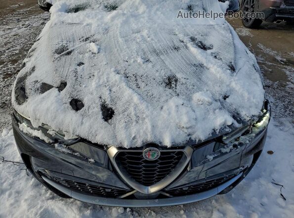 ZASPATCW1R3053979 2024 ALFA ROMEO OTHER Черный Вид подкапотного пространства