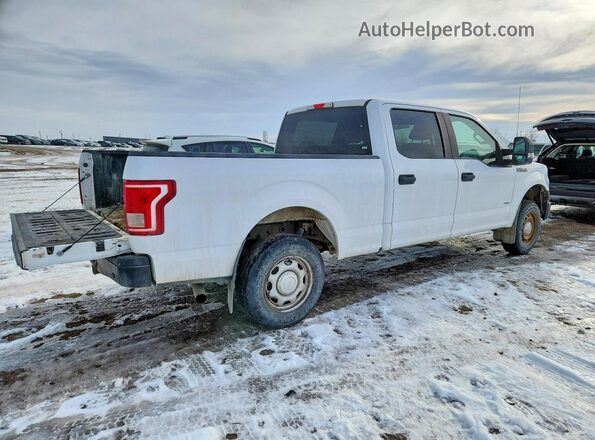 1FTFW1EG0HKD98816 2017 FORD F150 Белый Задняя правая четверть