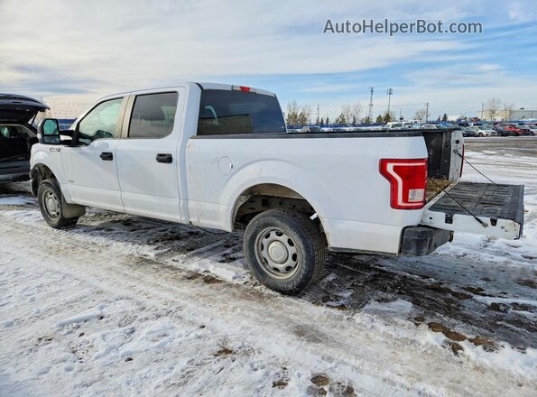1FTFW1EG0HKD98816 2017 FORD F150 Белый Задняя левая четверть