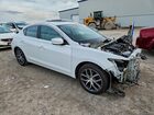 2019 Acura Ilx Premium Белый vin: 19UDE2F73KA004951