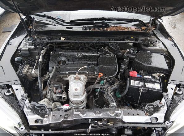 19UUB1F38HA003884 2017 ACURA TLX Серый Вид сзади