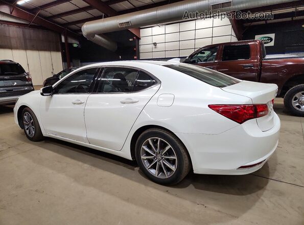 19UUB1F52KA005171 2019 ACURA TLX White Tył lewy