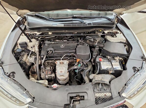 19UUB1F52KA005171 2019 ACURA TLX White Widok wnętrza z tyłu